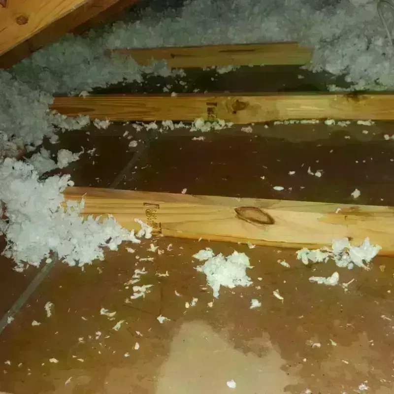 Attic Water Damage in Crane, TX